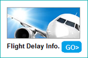 flight delay information