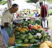 Organic farm market on St. Thomas